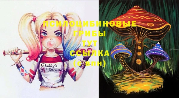 скорость Баксан