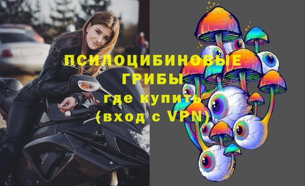 мяу мяу мука Армянск