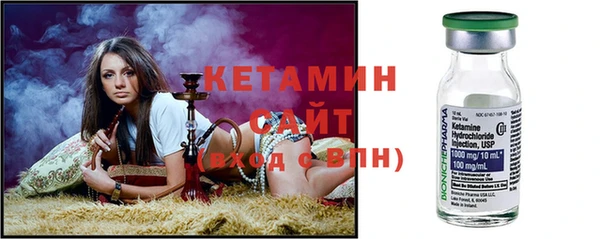 прущие грибы Аркадак