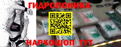 ПСИЛОЦИБИНОВЫЕ ГРИБЫ Новозыбков