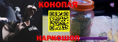 шишки Новокубанск