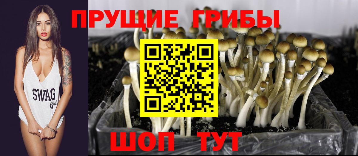 Нарткала  Галлюциногенные грибы Magic Shrooms  Вход с VPN 