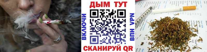Канабис ГИДРОПОН  Нарткала 